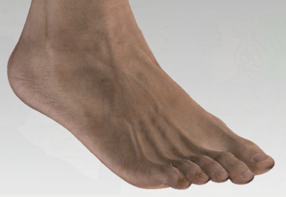 3D Scanner พร้อมกล้องอุตสาหกรรม